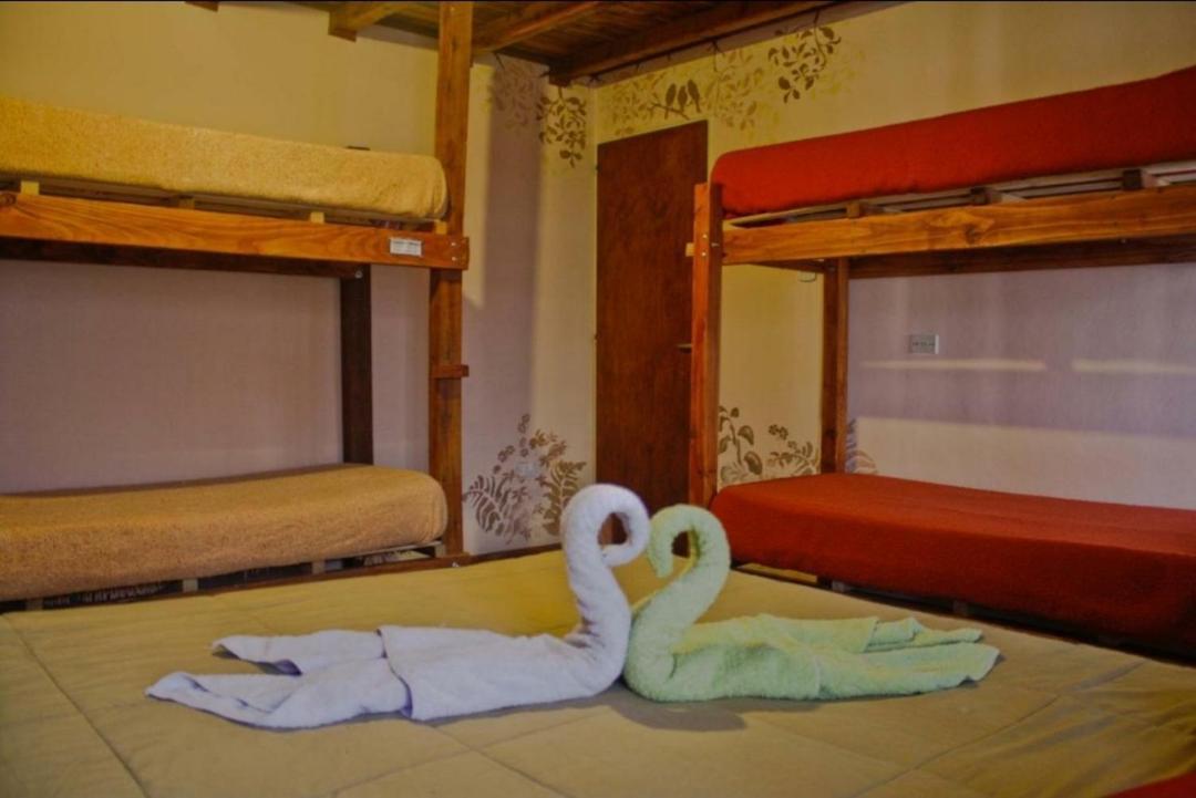 La Casa Del Arbol - Hostel El Bolsón Exteriér fotografie